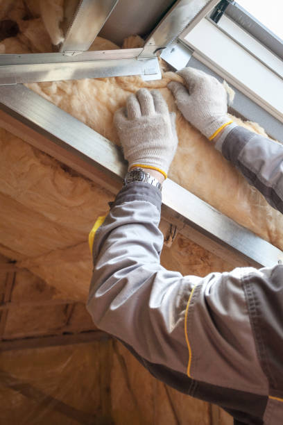 Best Insulation Inspection Services  in Sheboygan, WI