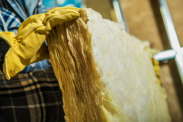 Best Wall Insulation Contractor  in Sheboygan, WI