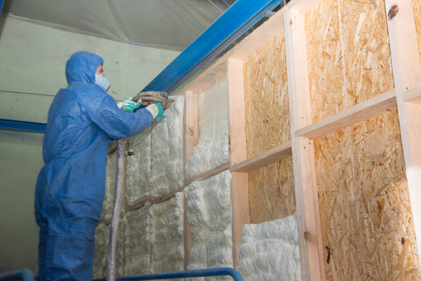 Best Blown-in Insulation  in Sheboygan, WI
